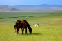 Hulunbeir Grassland